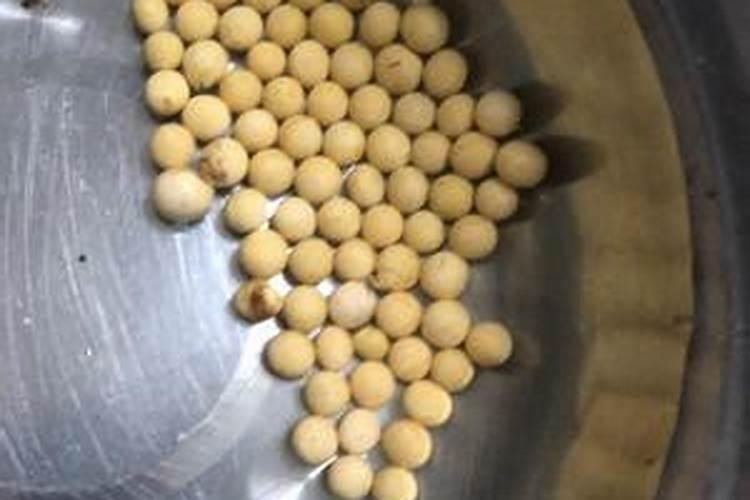 大豆面怎么处理可以浇花