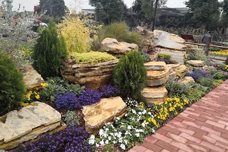 茄子冬天冲什么肥好 大家可以了解一下