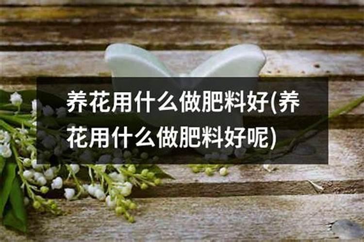 养花用什么肥料最好
