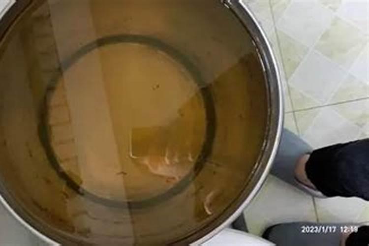 水溶肥的配方和制作方法