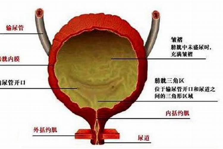 黑色高塔复合肥