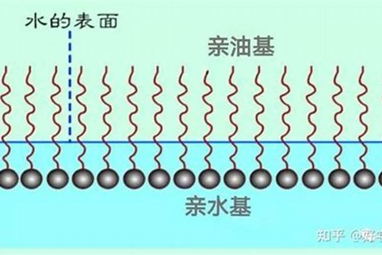 什么是腐质酸