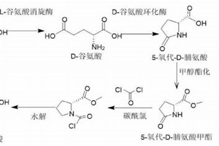 莲子一亩地产多少斤