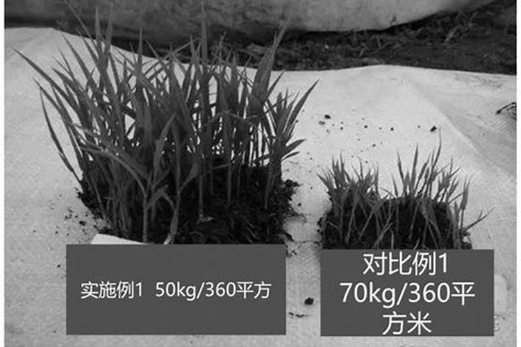 液体肥料制作方法