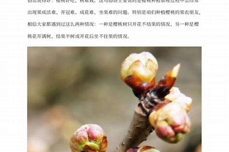 植物开花最需要什么元素？