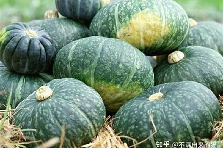 种南瓜需要哪种复合肥 用什么肥料产量高