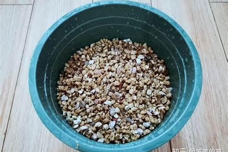 多肉换盆拿什么消毒
