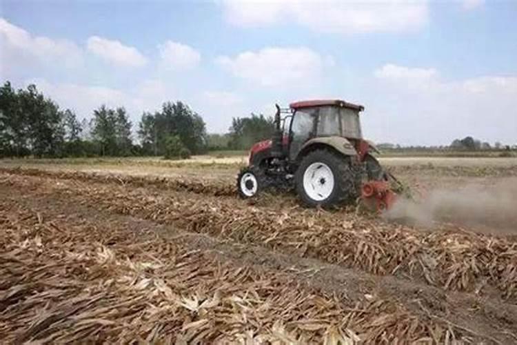 秸秆还田对土壤有什么影响