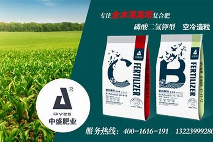 甜玉米几个叶打控？