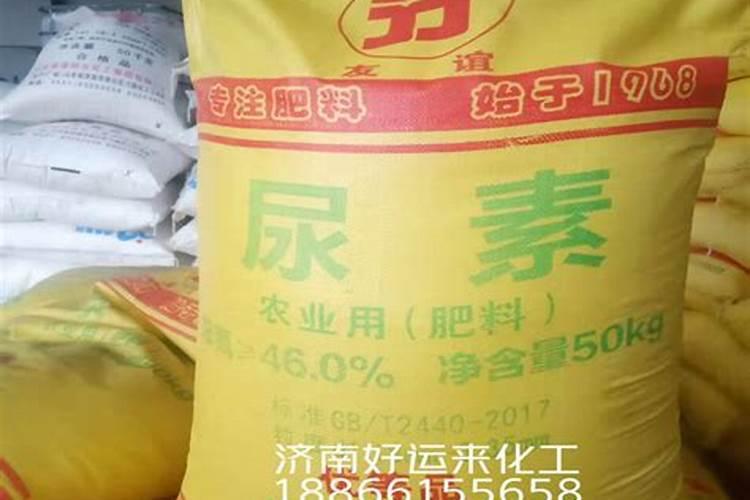 旱稻种植时间和方法