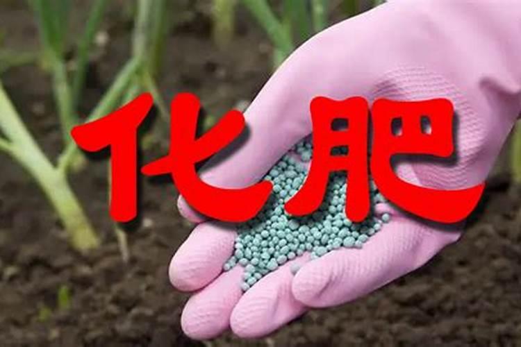 化肥排行榜(中国化肥前50排名)