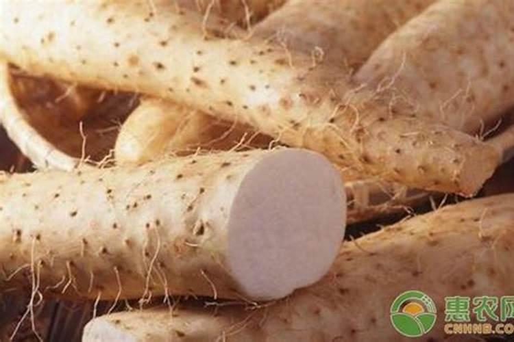 国光松尔肥多少钱