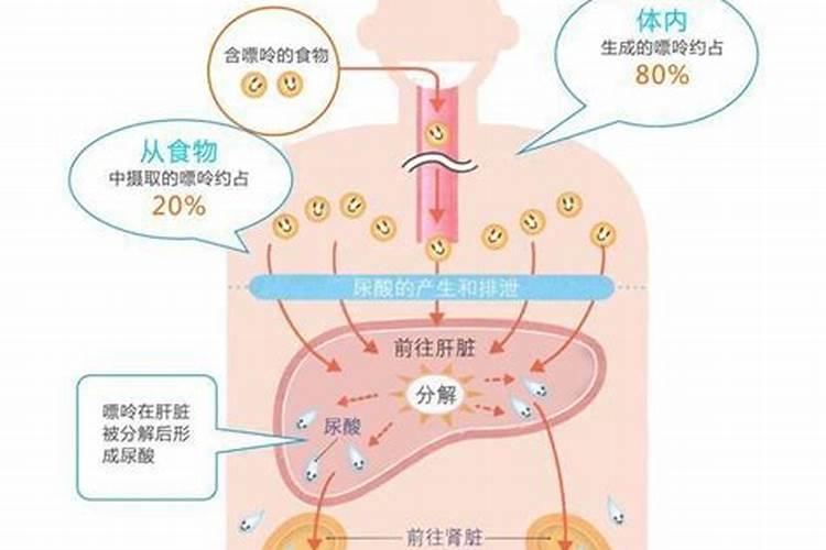 人的尿液属于氮肥吗？