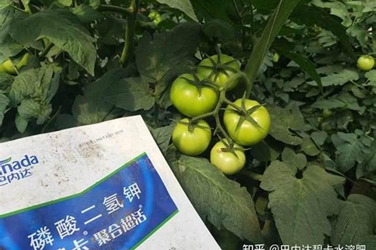 十大名牌磷酸二氢钾