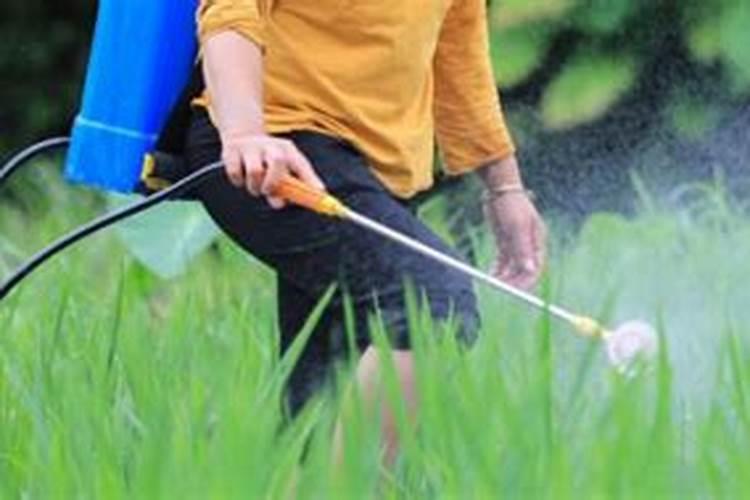 大豆打完除草剂多久可以打叶面肥水？