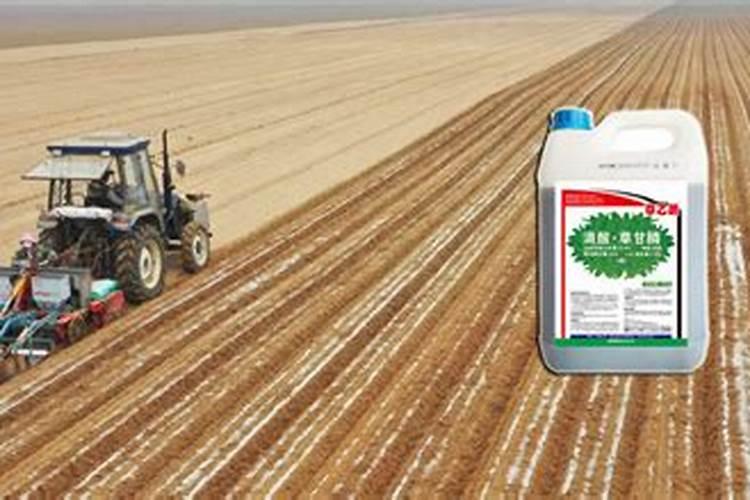 大豆打完除草剂多久可以打叶面肥水？