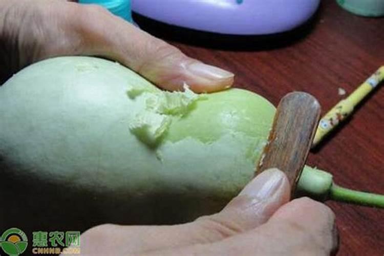 葫芦需要什么肥料 叶面肥使用最佳时间