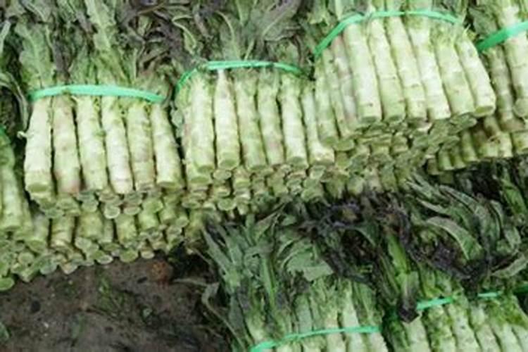 莴笋怎么施肥莴笋施肥规律