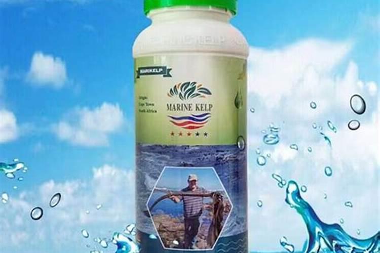海藻精能和中微量叶面肥混用吗？