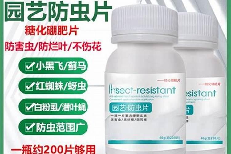花生缺苗补种什么合适