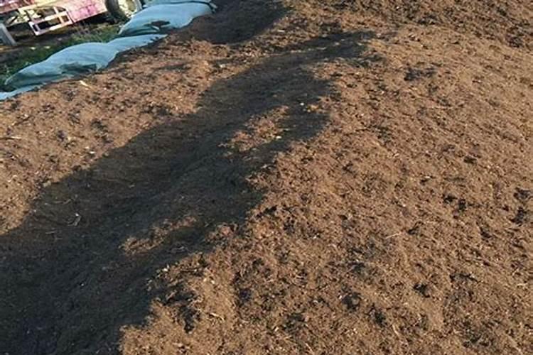 仙土、腐殖土和泥炭土有何本质区别？