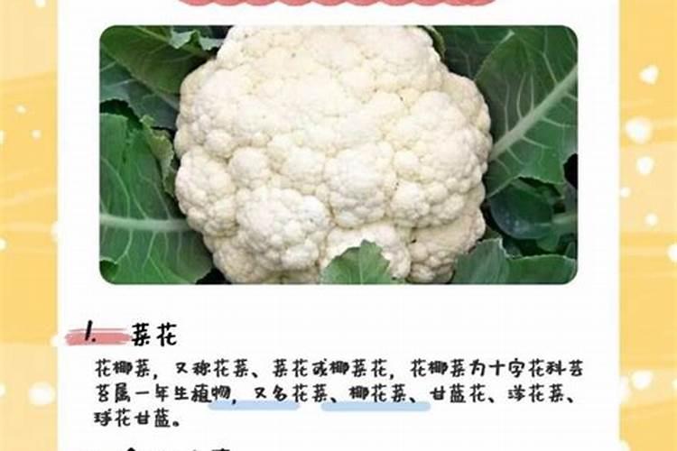菜花的种植管理技术