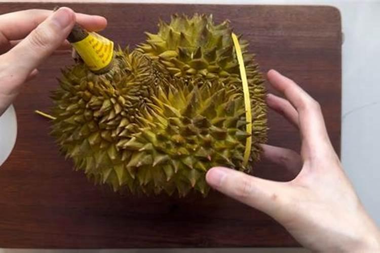种榴莲施什么肥