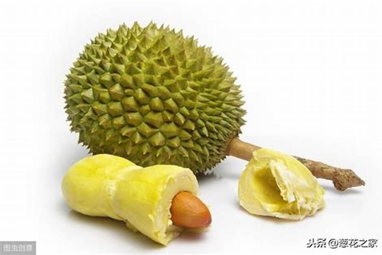 榴莲适合浇哪些肥料