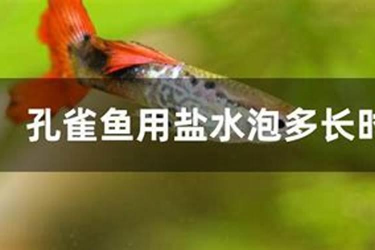 腌的鱼太咸怎么退盐