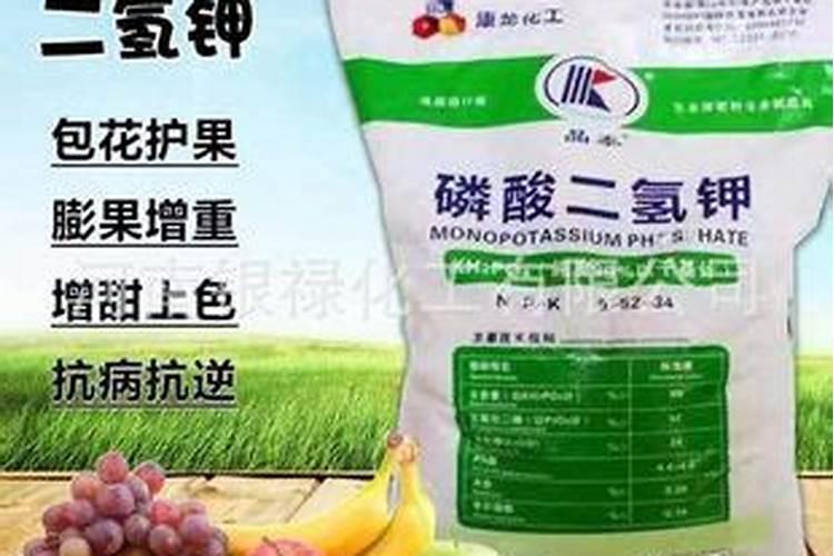 中国农资在线的网站栏目
