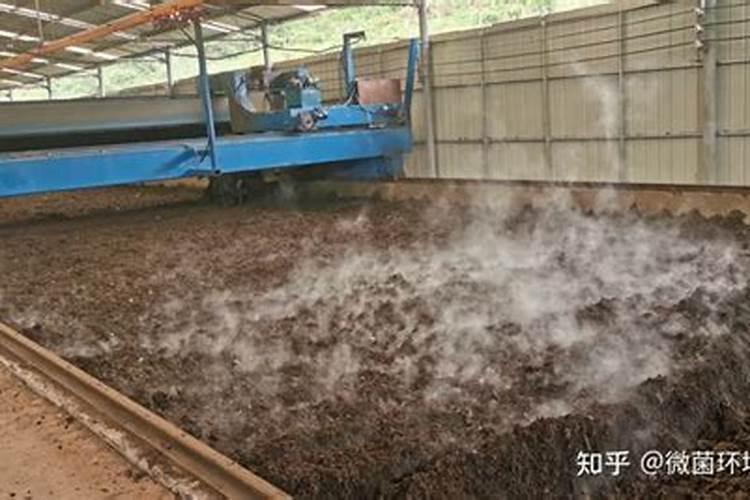 教你一招"家庭养花施肥除臭窍门"