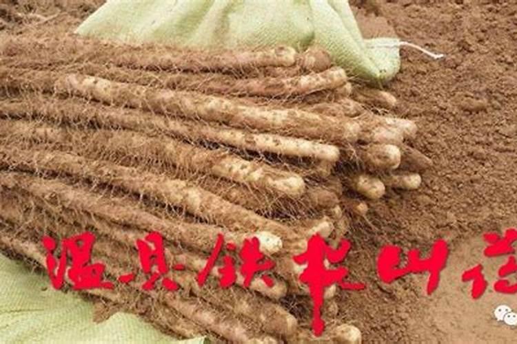 种淮山用什么肥料