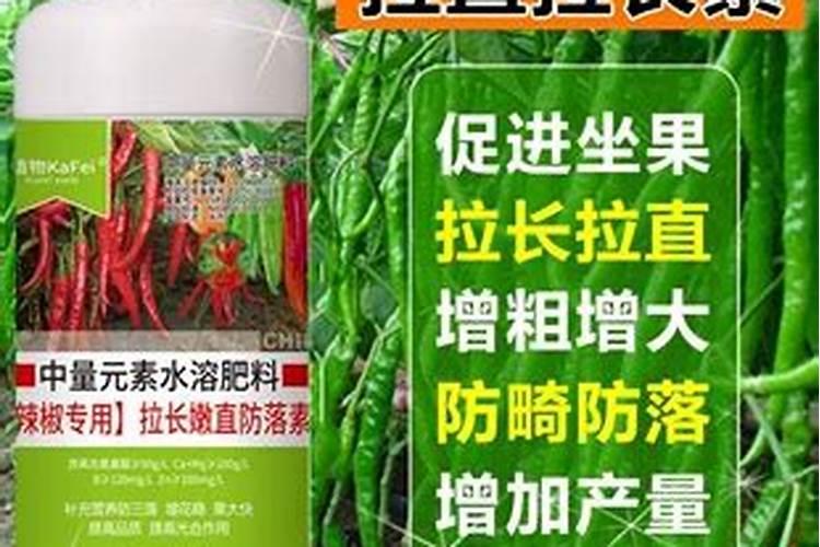 种辣椒用什么肥料