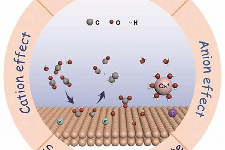 精浆中的多种酶、电解质和微量元素具体有哪些？