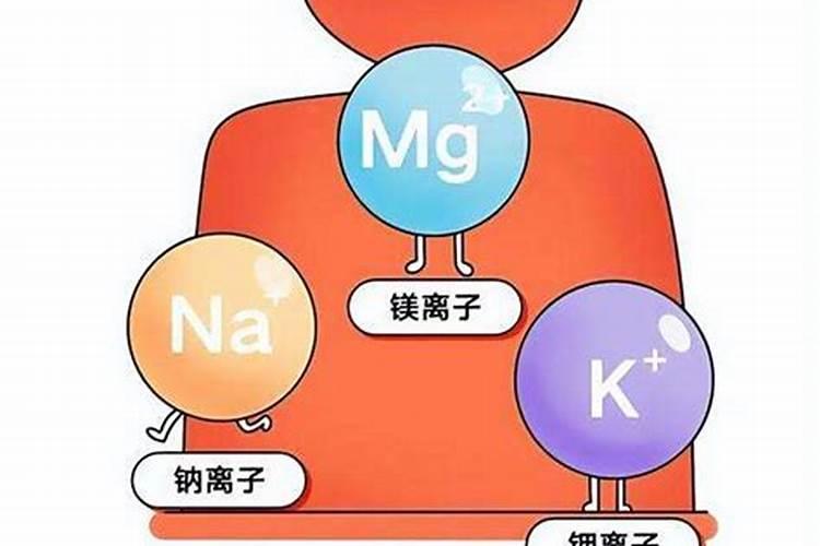 人体电解质是什么