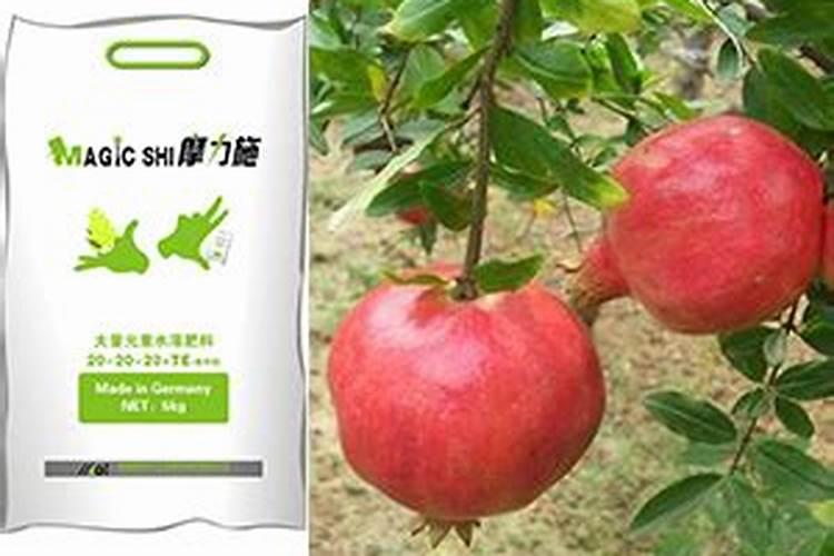 真正进口水溶肥品牌