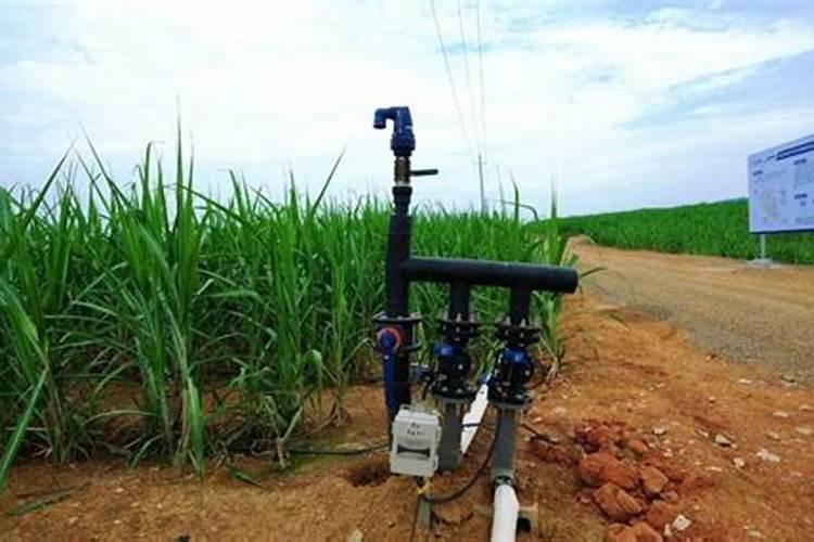 抗寒抗旱的肥料