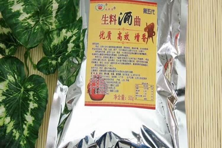 怎样才能养活菊花？