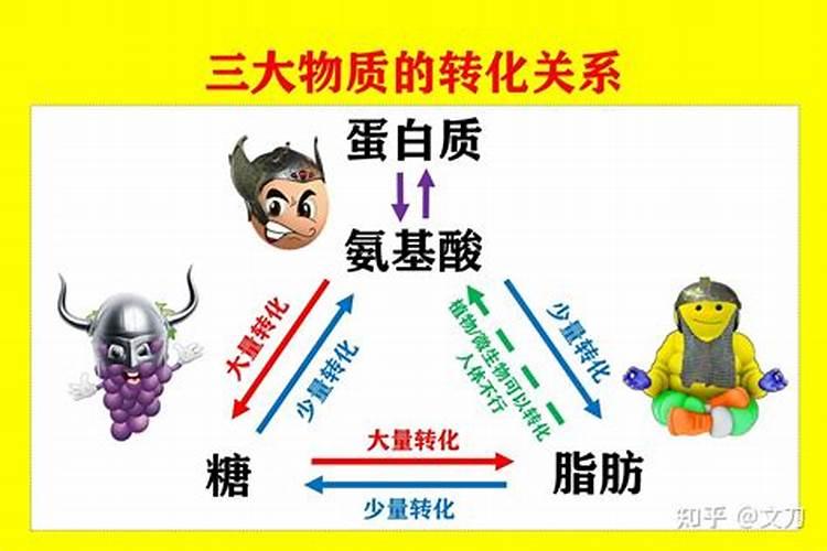 多少氨基酸肥和氮肥一样