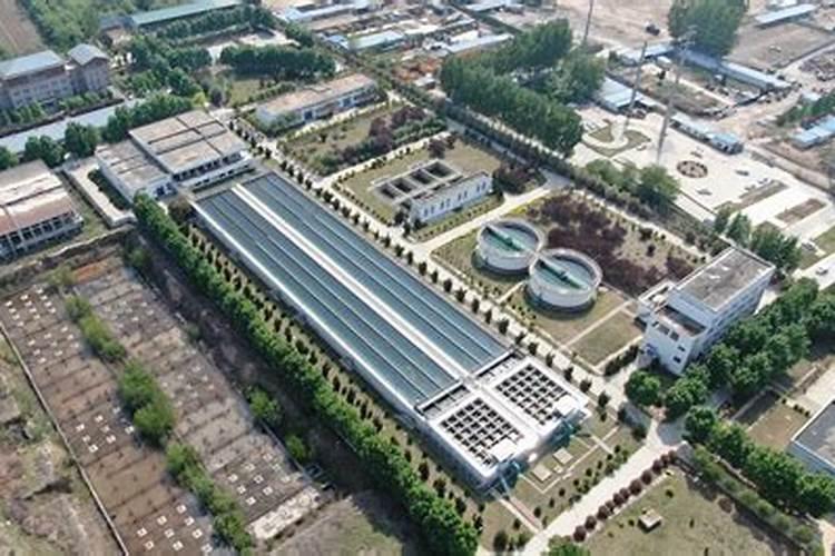 大量元素水溶肥知名品牌有哪些？