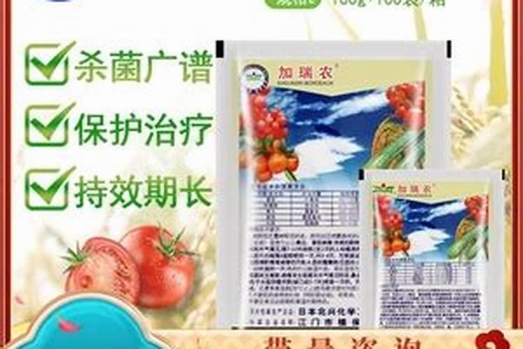 绿波特甜瓜种植管理技术