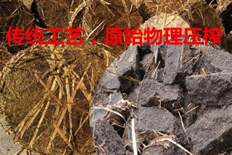 龙牙百合栽培技术