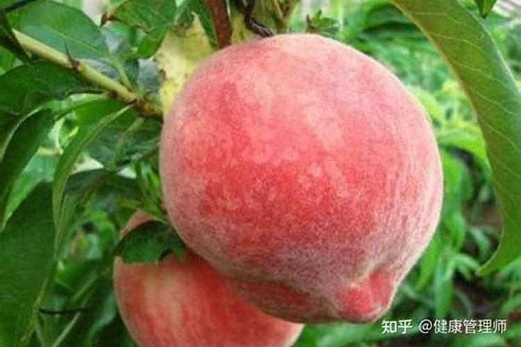 桃子落果是什么原因造成的
