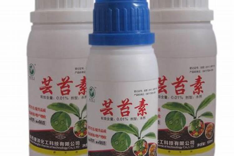 芸豆釆摘期打药还能加芸苔素吗
