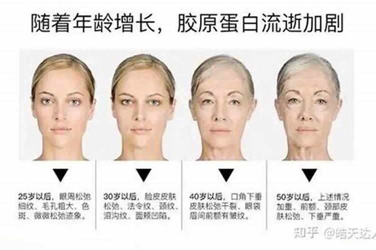鱼蛋白有什么作用