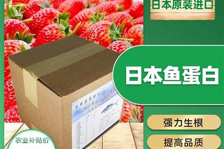 鱼蛋白使用注意事项