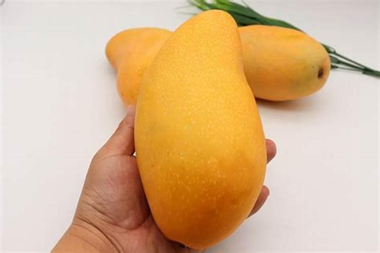 芒果施什么肥