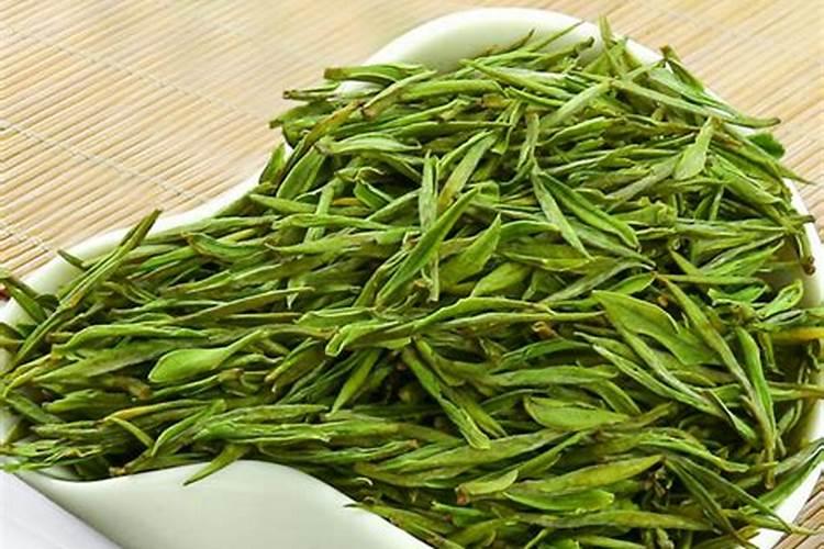 安吉白茶的种植技术