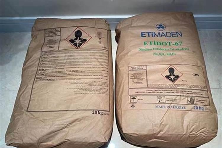 火龙果在室内用花盆种植可以吗