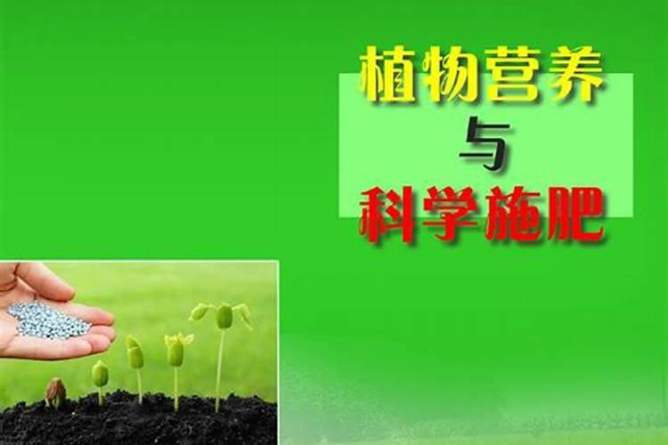 怎样给植物施肥